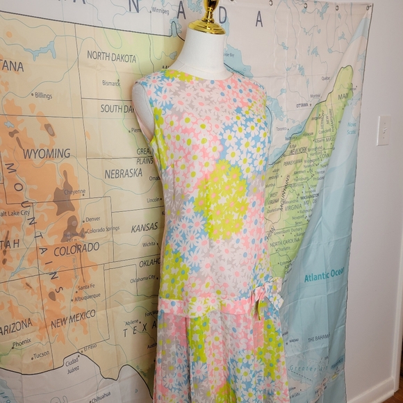 Vintage 1960s Eve Carter Floral Sleeveless Dress with Pleated Skirt - Picture 5 of 16